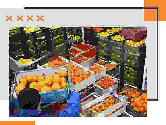 Перевозка скоропортящихся продуктов в Березниках